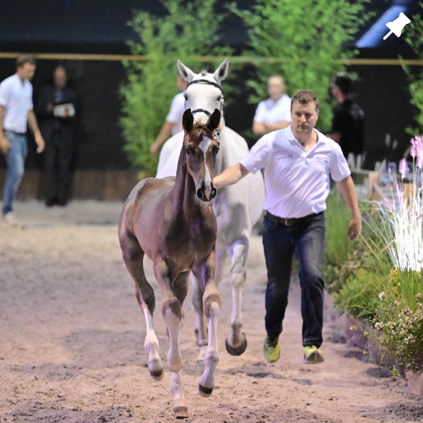 Image from Instagram