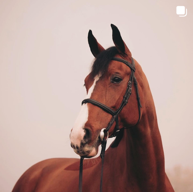 Image from Instagram