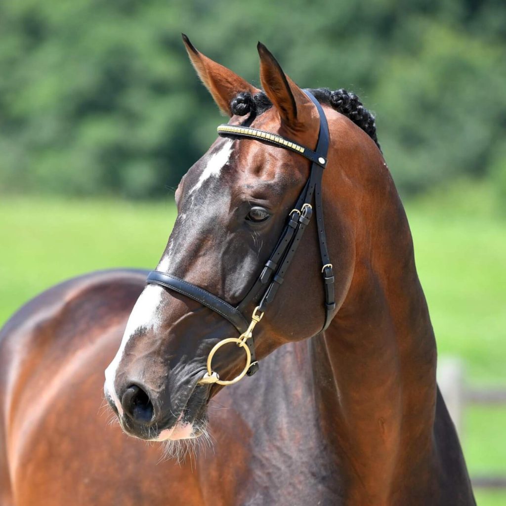 CULLINAN DU BORGET B