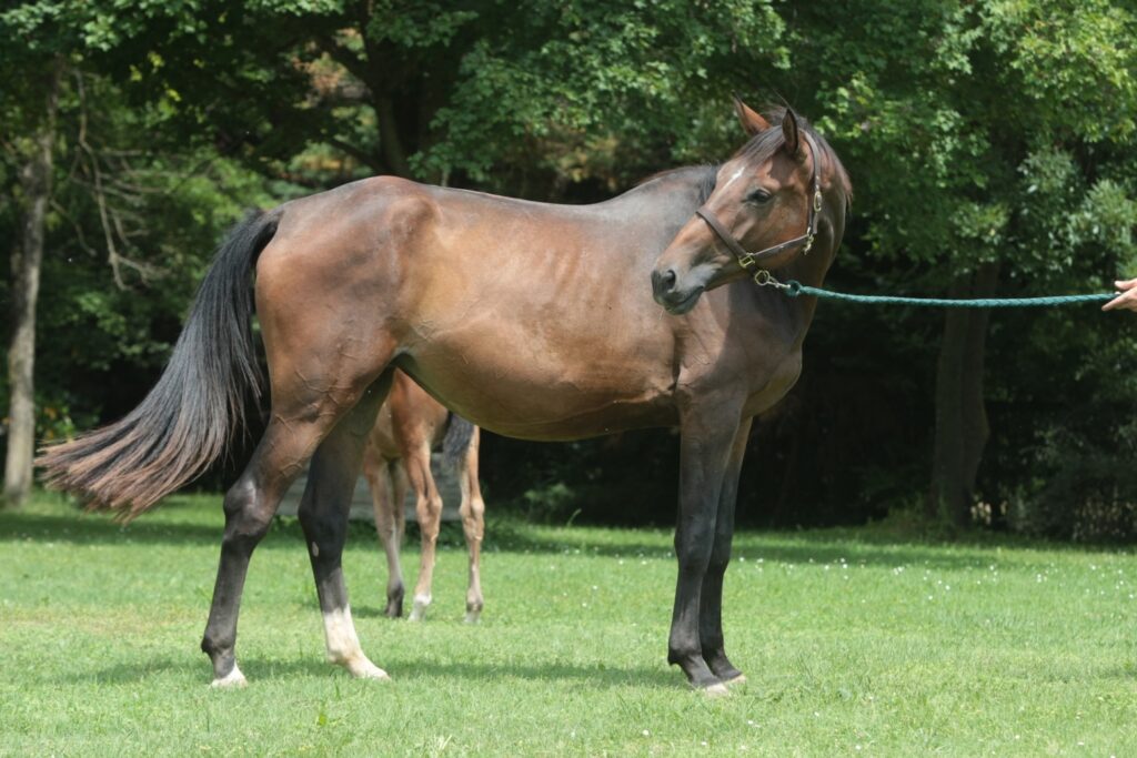 Kamera con Vista di Ca’ San Giorgio